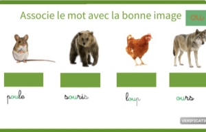 Série verte cursive